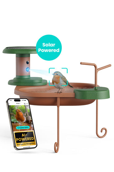 Baignoire pour oiseaux Jolly V IA