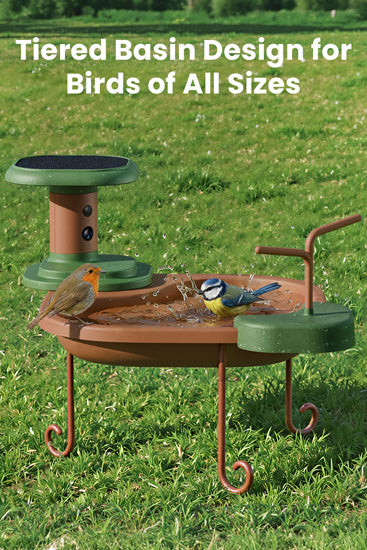 Baignoire pour oiseaux Jolly V IA