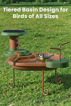 Baignoire pour oiseaux Jolly V IA