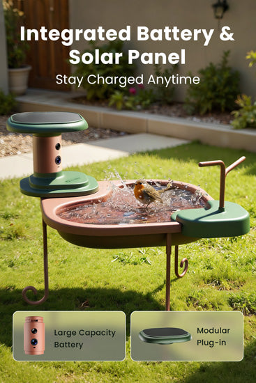 Baignoire pour oiseaux Jolly V IA