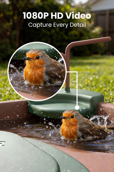 Baignoire pour oiseaux Jolly V IA