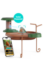 Baignoire pour oiseaux Jolly V IA