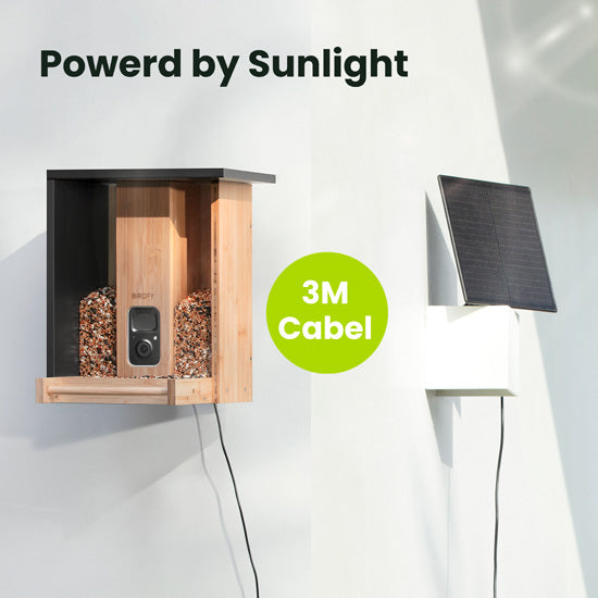 Feeder Bamboo AI gratuite à vie avec énergie solaire