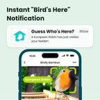Feeder Bamboo AI gratuite à vie avec énergie solaire