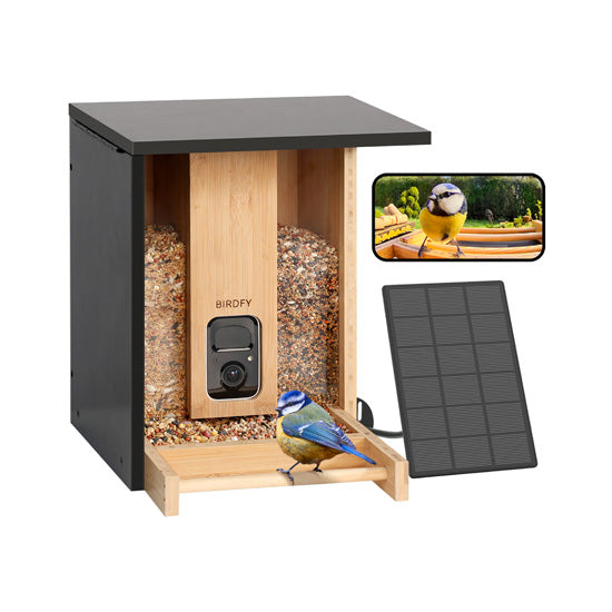 Feeder Bamboo AI gratuite à vie avec énergie solaire
