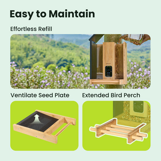 Feeder Bamboo AI gratuite à vie avec énergie solaire