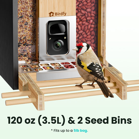 Feeder Bamboo AI gratuite à vie avec énergie solaire