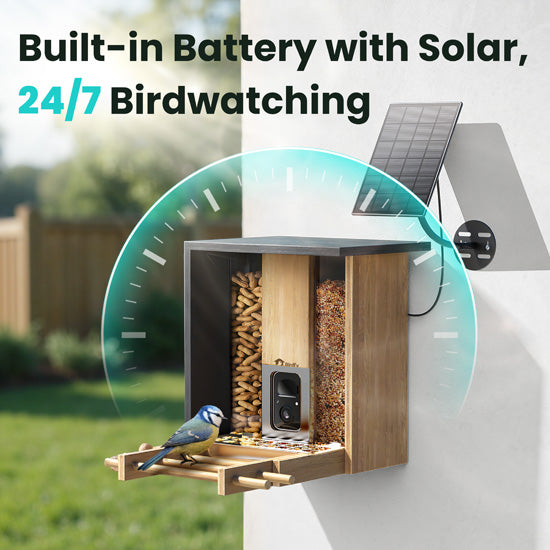 Feeder Bamboo AI gratuite à vie avec énergie solaire