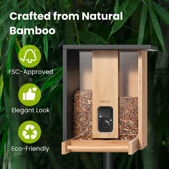Feeder Bamboo AI gratuite à vie avec énergie solaire
