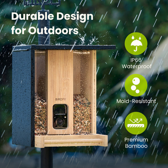 Feeder Bamboo AI gratuite à vie avec énergie solaire