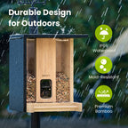 Feeder Bamboo AI gratuite à vie avec énergie solaire