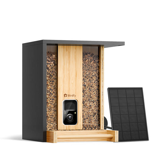 Feeder Bamboo AI gratuite à vie avec énergie solaire