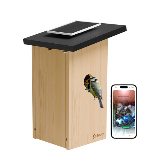 Birdfy