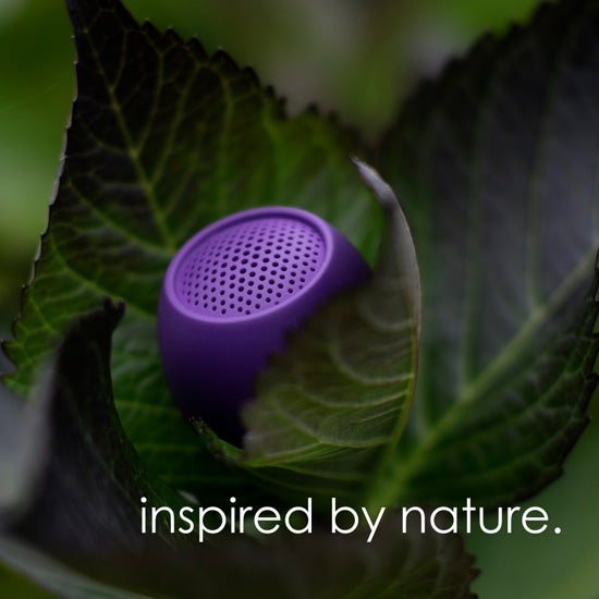 Enceinte Zero Purple