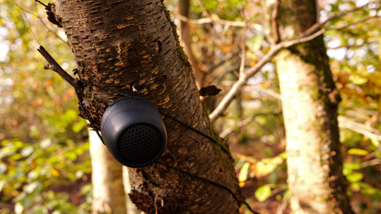 Enceinte Zero XL Black Atlantic