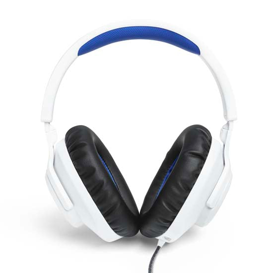 Quantum 100P PlayStation