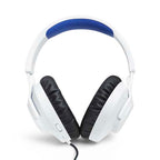 Quantum 100P PlayStation