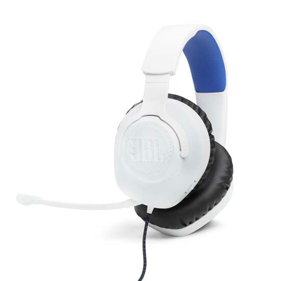 Quantum 100P PlayStation