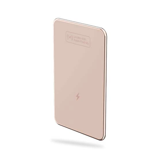 Carte FindAll™ Desert Rose