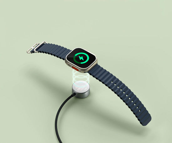 Câble de charge rapide USB-C Apple Watch Space Gray
