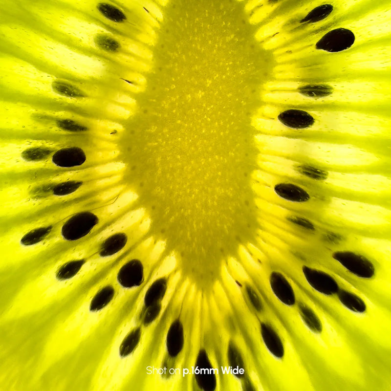 P.Series 10× Micro Lens