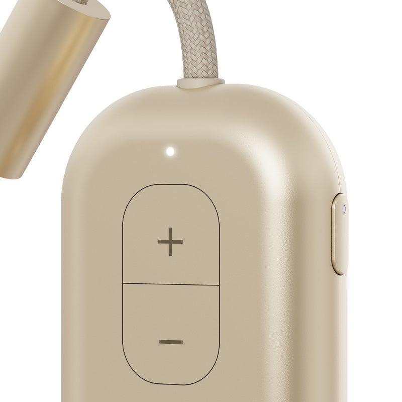 AirFly Pro 2 Gold