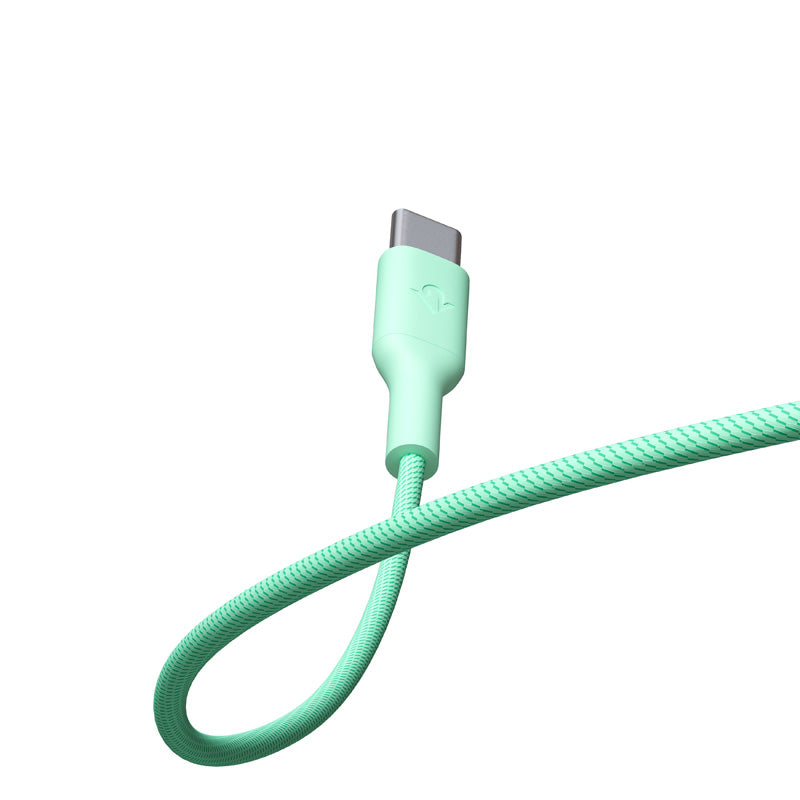 Câble CableStay USB-C (1,5 m) avec base lestée Mint