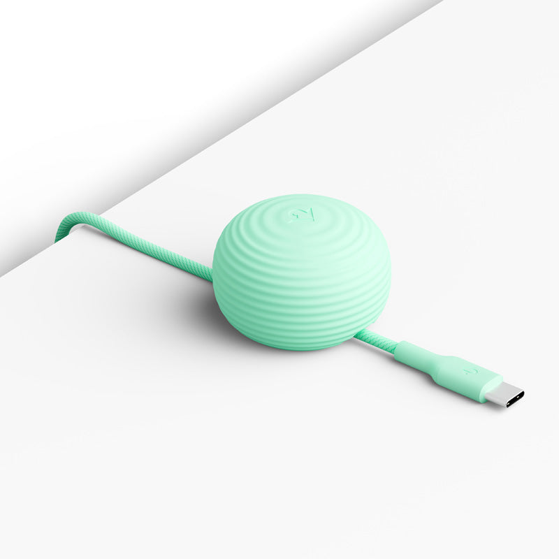 Câble CableStay USB-C (1,5 m) avec base lestée Mint