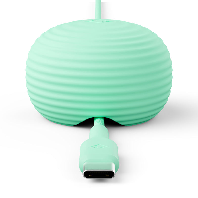 Câble CableStay USB-C (1,5 m) avec base lestée Mint