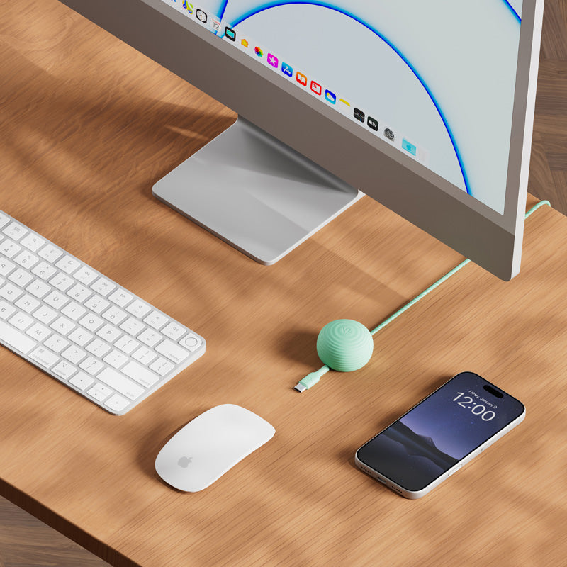 Câble CableStay USB-C (1,5 m) avec base lestée Mint